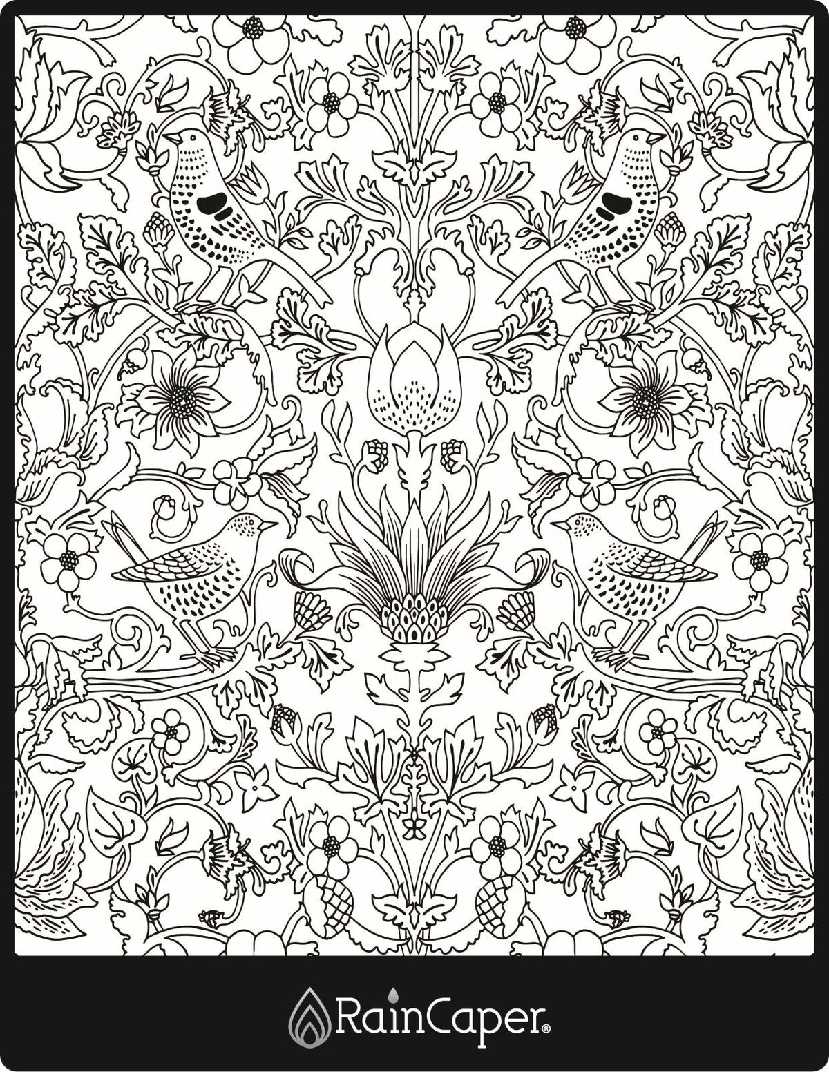 RainCaper Vintage Birds design rendered in black & white as a page in an adult coloring book