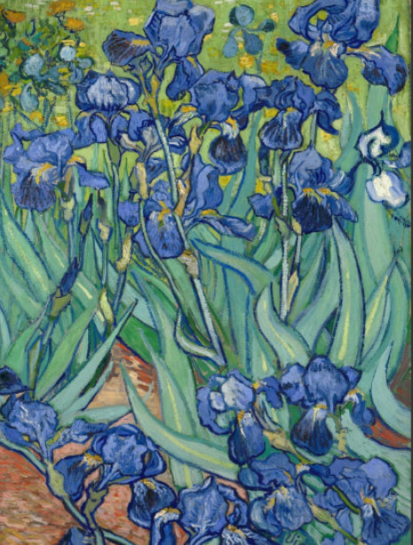 RainCaper van Gogh Irises collection image