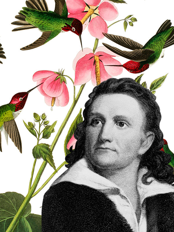 John James Audubon Bird Umbrellas, Scarves & Nature Gifts