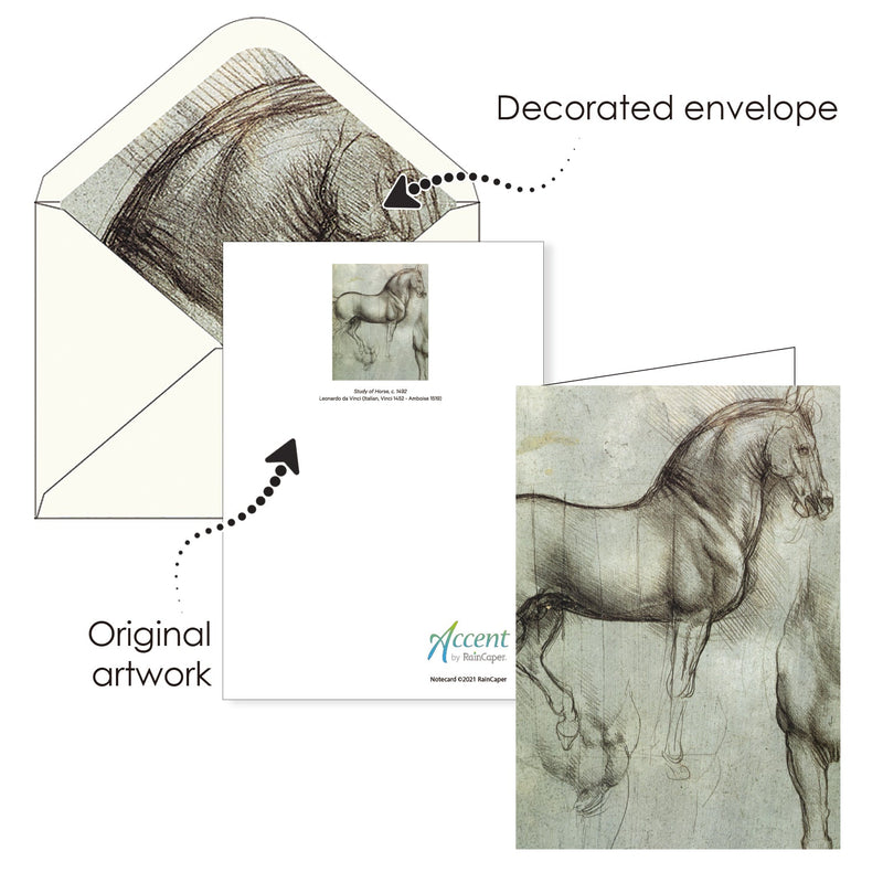 da Vinci Favorites - Boxed Blank Note Cards – Set of 16 in a Keepsake Gift Box