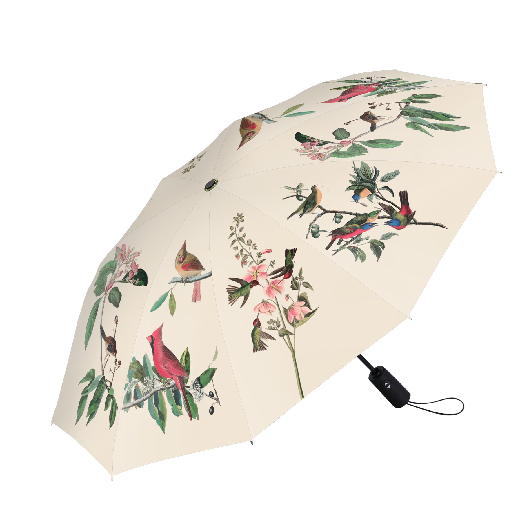 North American Wild Birds by Audubon Travel Umbrella – Compact, One-Touch Open & Close