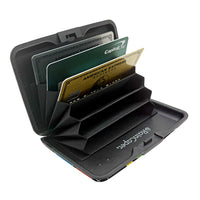 Frank Lloyd Wright Coonley Playhouse RFID Hard Travel Wallet